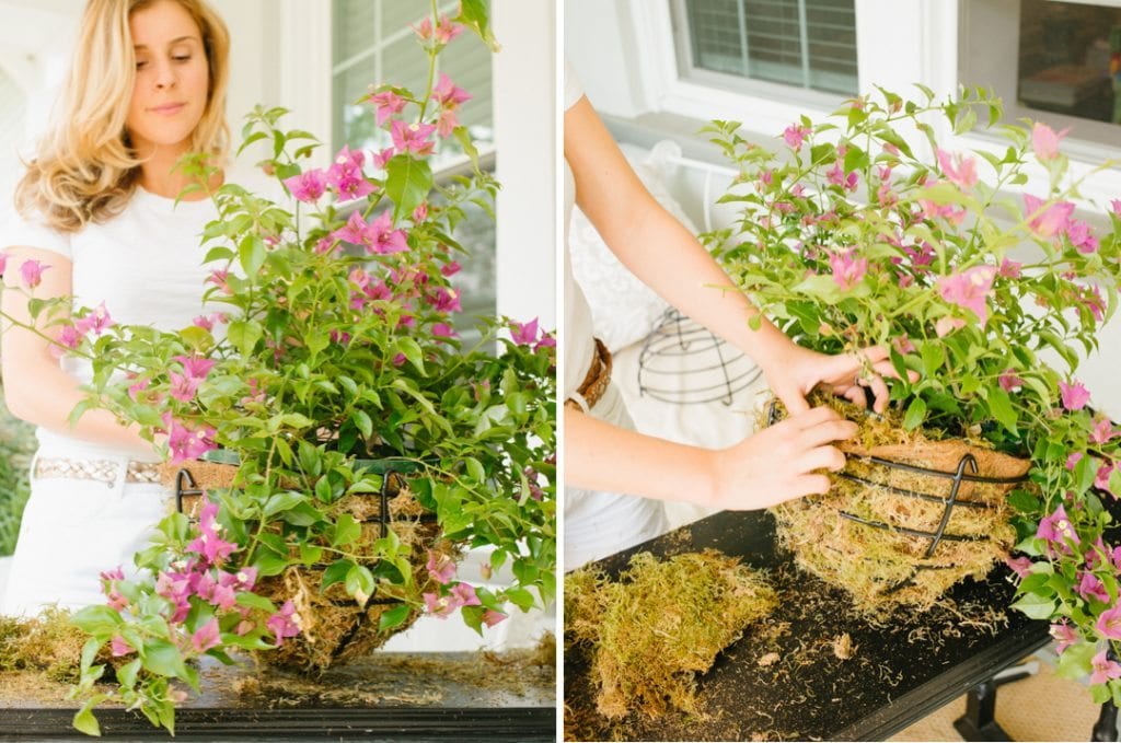 Tutorial Mosslined Hanging Baskets Lucy Cuneo