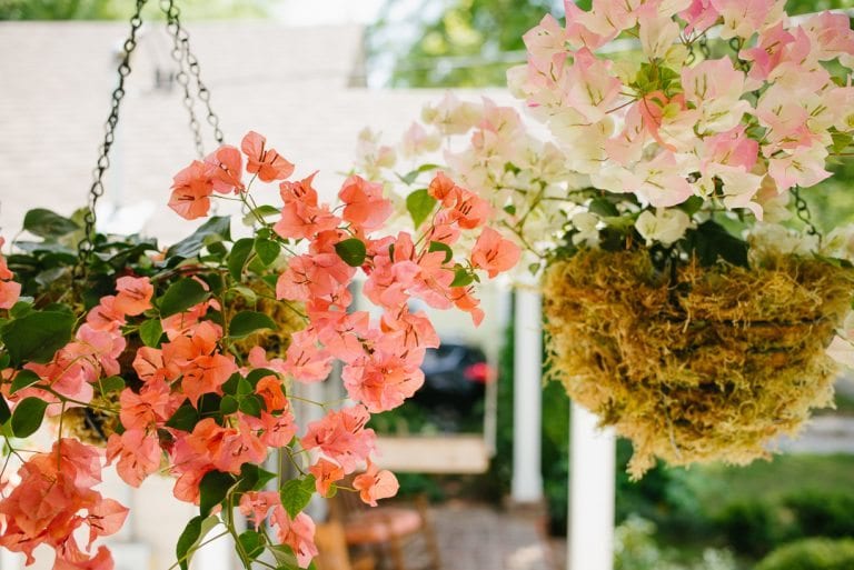 Tutorial Mosslined Hanging Baskets Lucy Cuneo