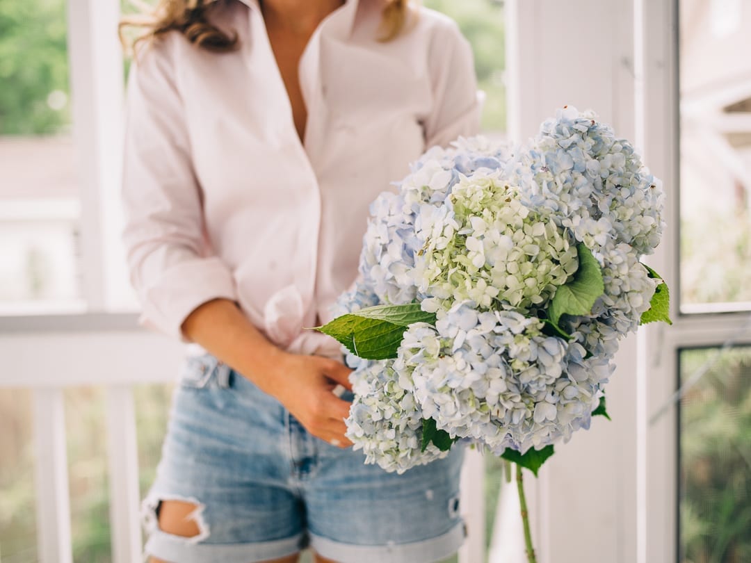 Lucy Cuneo previewing hydrangeas for her fine art flower series