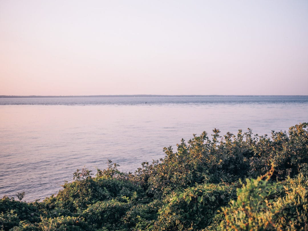 Welcome to Martha's Vineyard - Lucy Cuneo