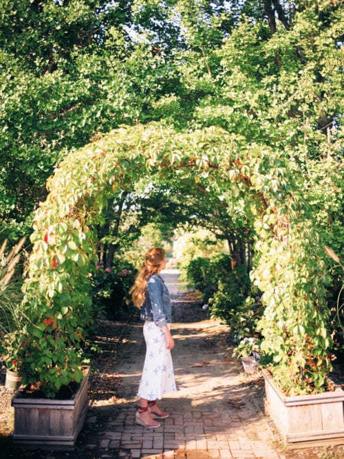 Quick Visit to Marders Nursery, Bridgehampton Lucy Cuneo