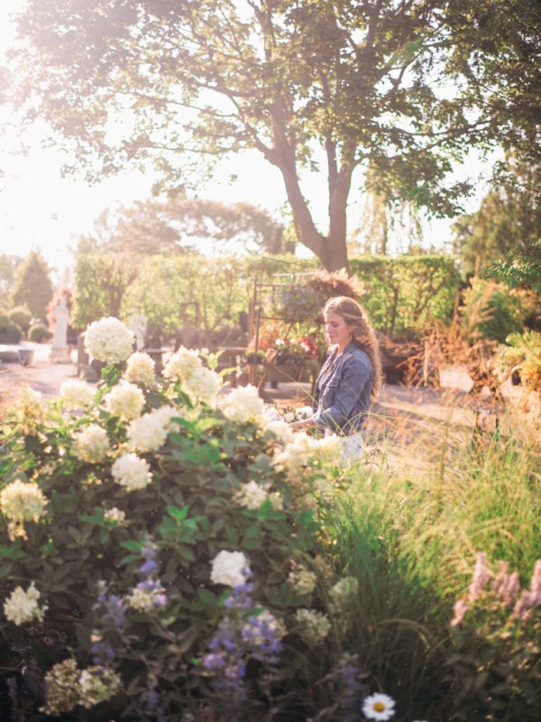 Quick Visit to Marders Nursery, Bridgehampton Lucy Cuneo